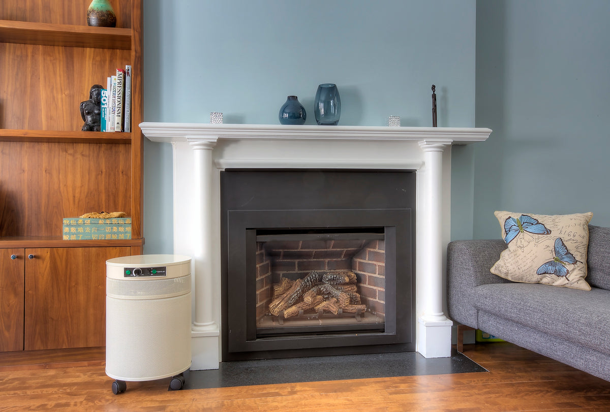 Airpura UV600 Air Purifier, Mold and Musty Air, UVC Lamp, 18 lb Carbon, Cream, lifestyle photo, living room