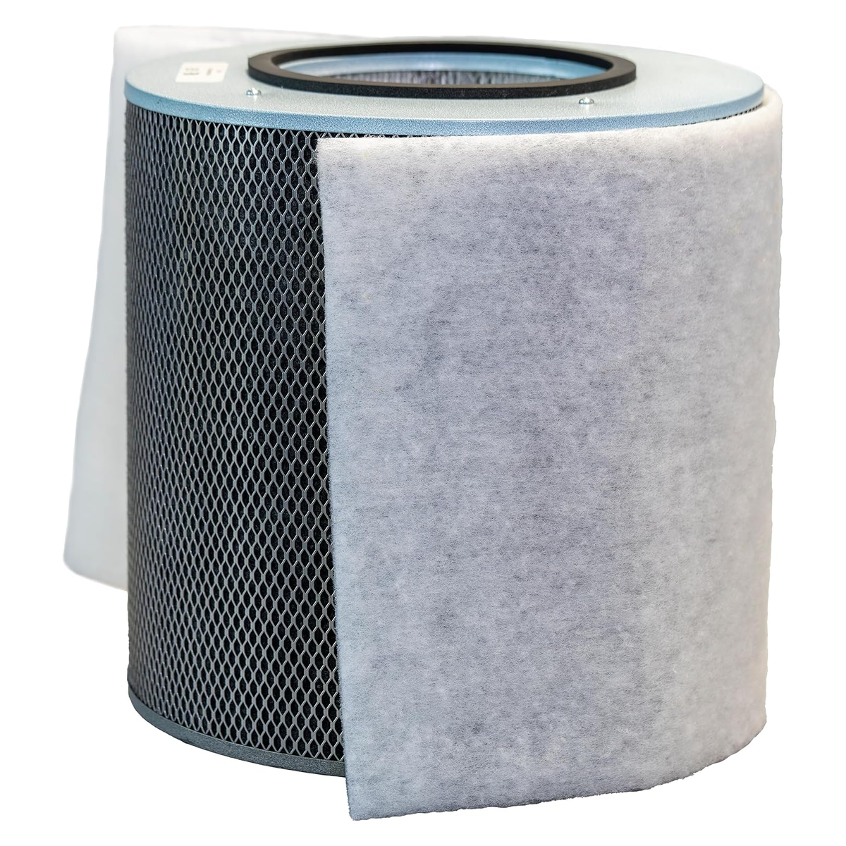 Austin Air Allergy Machine Filter with White prefilter