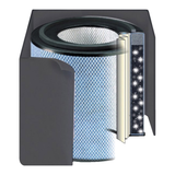 Austin Air Pet Machine Filter, Carbon + HEPA, Black or White (FR410)