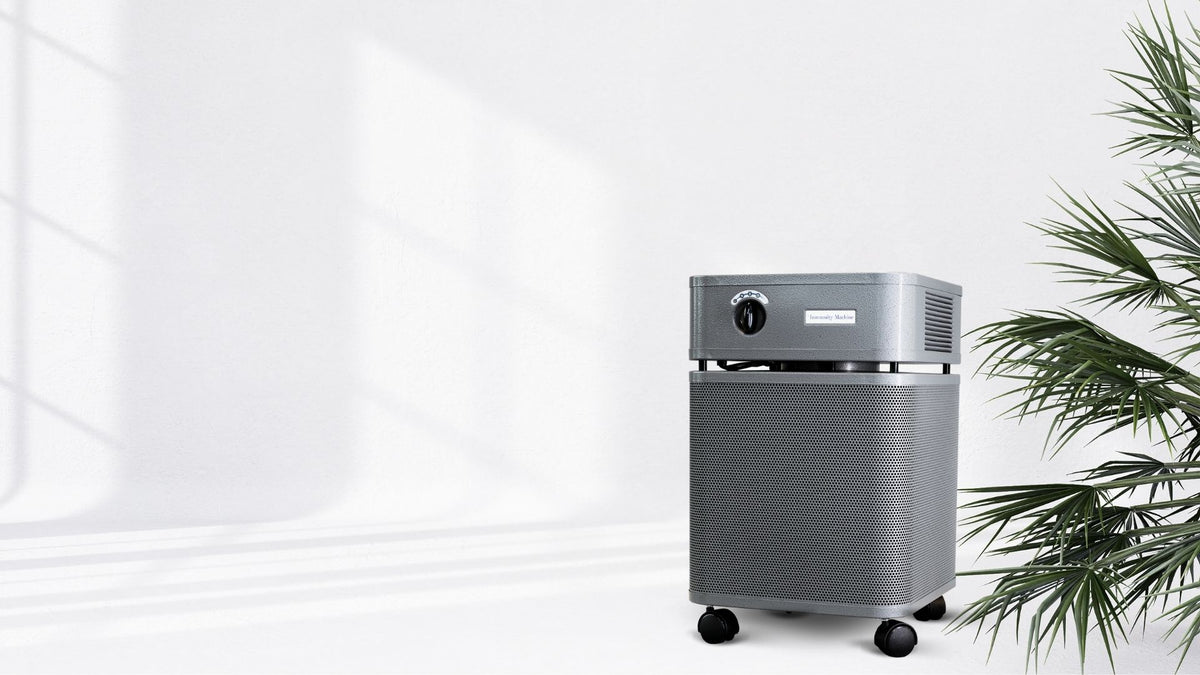 Austin Air Immunity Machine Air Purifier, VOCs and Formaldehyde, lifestyle photo, room with plant
