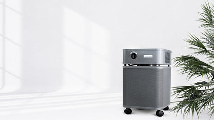 Austin Air Immunity Machine Air Purifier, VOCs and Formaldehyde, lifestyle photo, room with plant