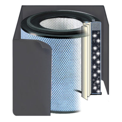 Austin Air HealthMate Plus Filter, Carbon, Black
