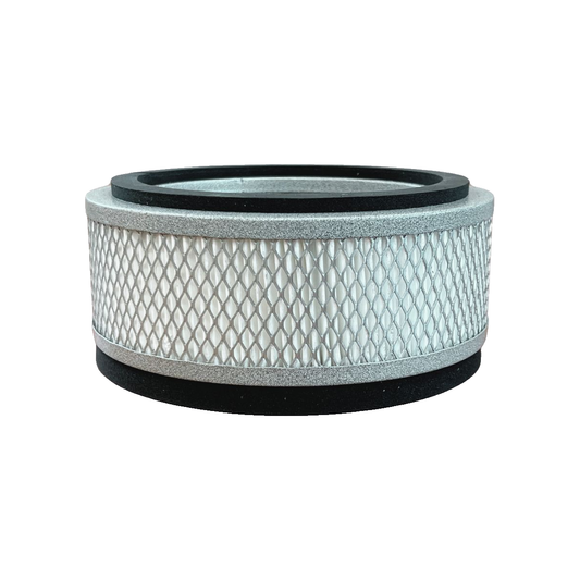 Austin Air it Replacement Filter, HEPA Only (FR100B)