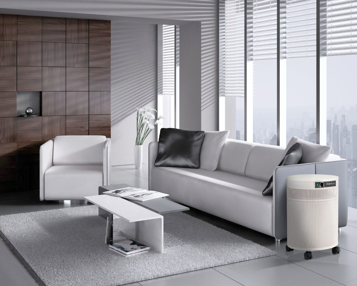 Airpura T700 DLX Air Purifier, living room