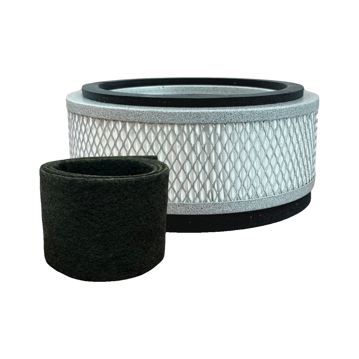 Austin Air it Replacement Filter with VOC Carbon Wrap (FR100C)