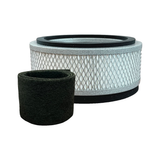 Austin Air it Replacement Filter with VOC Carbon Wrap (FR100C)