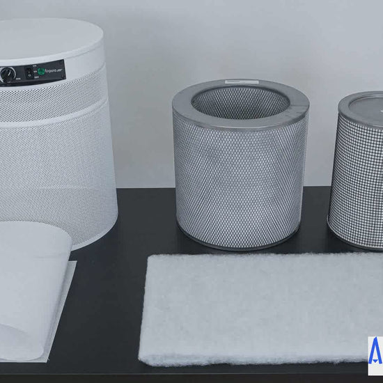 Airpura UV600 Air Purifier, Mold and Musty Air, UVC Lamp, 18 lb Carbon, demo video