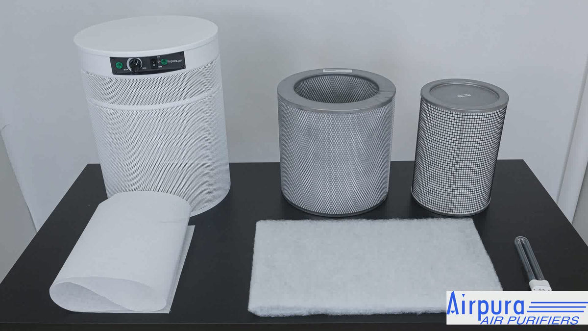 Airpura UV600 Air Purifier, Mold and Musty Air, UVC Lamp, 18 lb Carbon, demo video