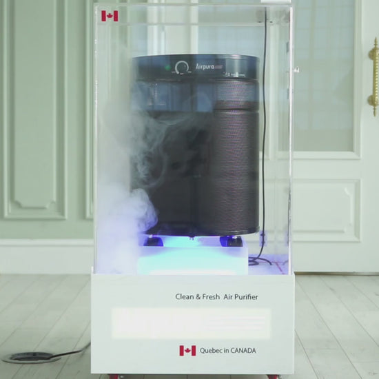 Airpura R600 Air Purifier, Odors and Chemicals, 18 lb Carbon, mist and VOC test video