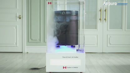 Airpura R600 Air Purifier, Odors and Chemicals, 18 lb Carbon, mist and VOC test video