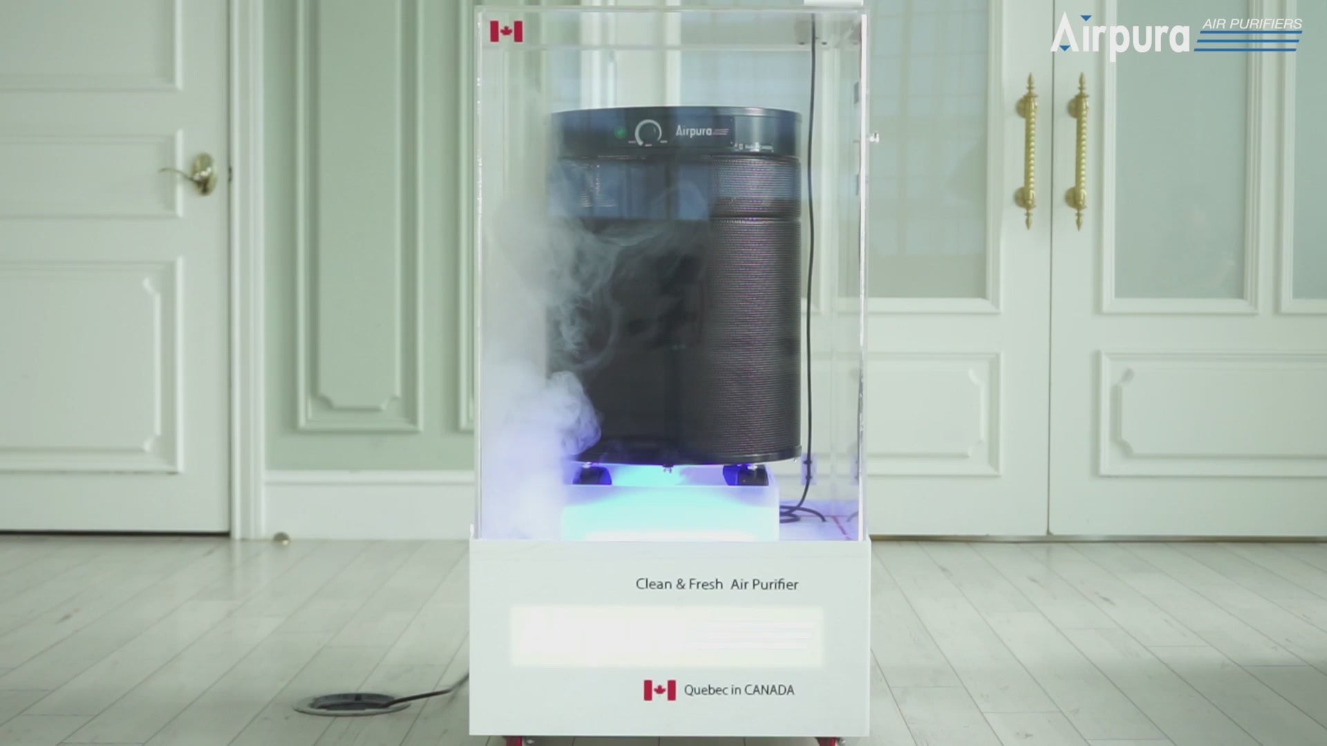 Airpura R600 Air Purifier, Odors and Chemicals, 18 lb Carbon, mist and VOC test video